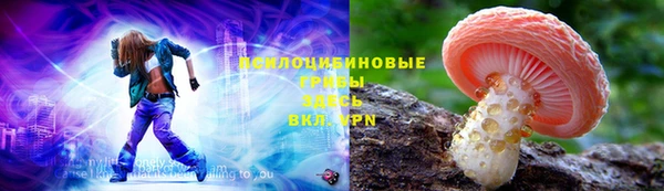 apvp Белокуриха