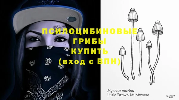 apvp Белокуриха